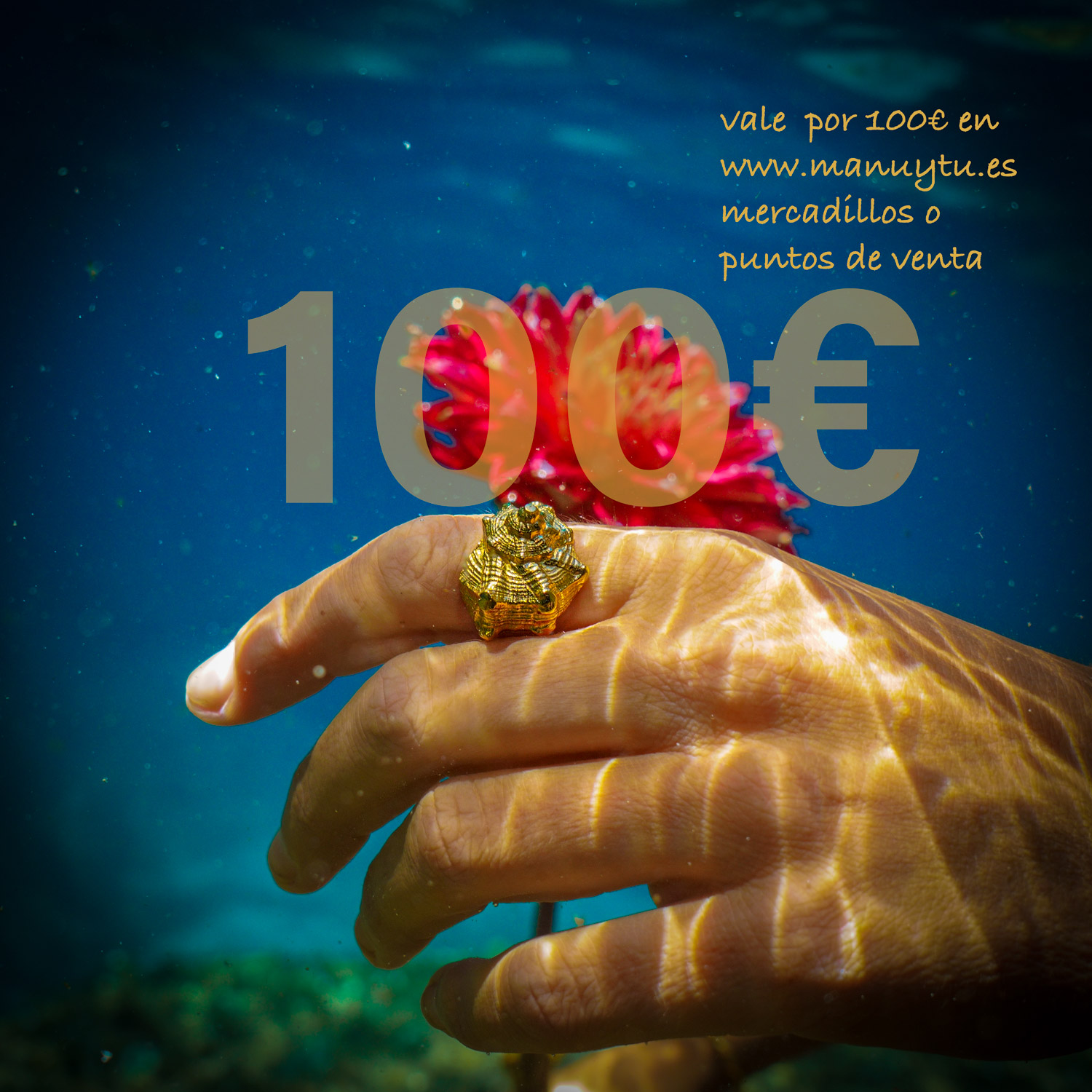 vale100jpg